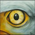 Augenblick eines Weisskopfseeadlers Acryl auf Leinwand;
30 x 30 cm